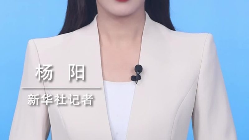 人工智能应用定制开发的成本构成